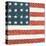 Americana Quilt IV-David Carter Brown-Stretched Canvas