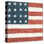 Americana Quilt IV-David Carter Brown-Stretched Canvas