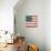 Americana Quilt IV-David Carter Brown-Art Print displayed on a wall