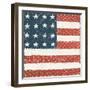 Americana Quilt IV-David Carter Brown-Framed Art Print