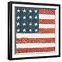 Americana Quilt IV-David Carter Brown-Framed Art Print