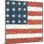 Americana Quilt IV-David Carter Brown-Mounted Art Print