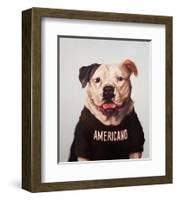 Americano-Lucia Heffernan-Framed Art Print