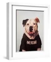 Americano-Lucia Heffernan-Framed Art Print