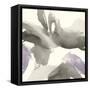 Amethyst Gesture I-Chris Paschke-Framed Stretched Canvas