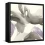 Amethyst Gesture I-Chris Paschke-Framed Stretched Canvas