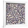 Amethyst Swirls III-Grace Popp-Framed Art Print