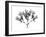 Amethyst Vine-Albert Koetsier-Framed Art Print