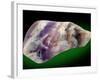 Amethyst-Walter Geiersperger-Framed Photographic Print