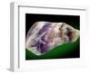 Amethyst-Walter Geiersperger-Framed Photographic Print