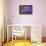 Amethyst-Viviane Fedieu Daniel-Photographic Print displayed on a wall