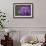 Amethyst-Viviane Fedieu Daniel-Framed Photographic Print displayed on a wall