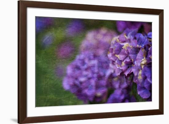 Amethyst-Viviane Fedieu Daniel-Framed Photographic Print