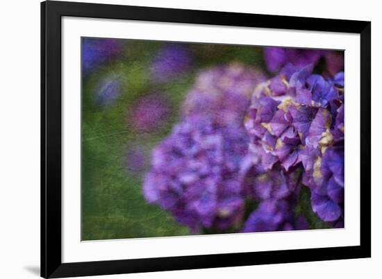 Amethyst-Viviane Fedieu Daniel-Framed Photographic Print