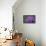 Amethyst-Viviane Fedieu Daniel-Stretched Canvas displayed on a wall