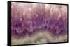 Amethyst-Darrell Gulin-Framed Stretched Canvas