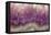 Amethyst-Darrell Gulin-Framed Stretched Canvas