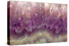 Amethyst-Darrell Gulin-Stretched Canvas