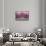 Amethyst-Darrell Gulin-Framed Stretched Canvas displayed on a wall