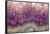 Amethyst-Darrell Gulin-Framed Stretched Canvas