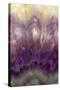 Amethyst-Darrell Gulin-Stretched Canvas