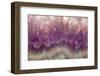 Amethyst-Darrell Gulin-Framed Photographic Print