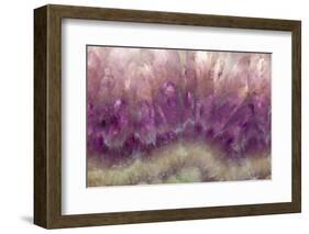 Amethyst-Darrell Gulin-Framed Photographic Print