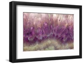 Amethyst-Darrell Gulin-Framed Photographic Print