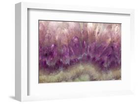 Amethyst-Darrell Gulin-Framed Photographic Print