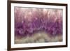 Amethyst-Darrell Gulin-Framed Photographic Print