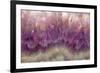 Amethyst-Darrell Gulin-Framed Photographic Print