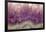 Amethyst-Darrell Gulin-Framed Photographic Print