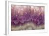 Amethyst-Darrell Gulin-Framed Photographic Print