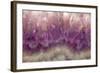 Amethyst-Darrell Gulin-Framed Photographic Print