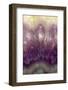 Amethyst-Darrell Gulin-Framed Photographic Print