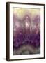 Amethyst-Darrell Gulin-Framed Photographic Print