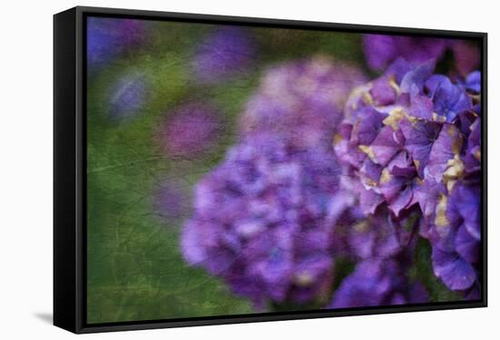 Amethyst-Viviane Fedieu Daniel-Framed Stretched Canvas