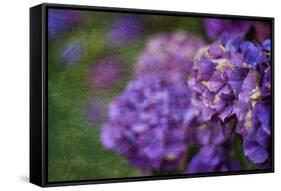 Amethyst-Viviane Fedieu Daniel-Framed Stretched Canvas