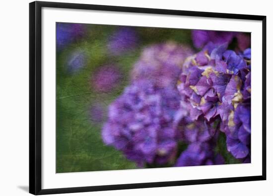 Amethyst-Viviane Fedieu Daniel-Framed Photographic Print