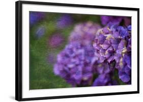 Amethyst-Viviane Fedieu Daniel-Framed Photographic Print