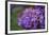 Amethyst-Viviane Fedieu Daniel-Framed Photographic Print