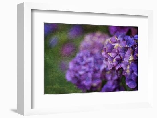 Amethyst-Viviane Fedieu Daniel-Framed Photographic Print