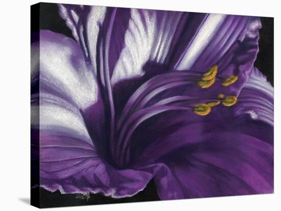 Amethyst-Barbara Keith-Stretched Canvas