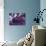 Amethyst-Barbara Keith-Giclee Print displayed on a wall