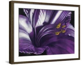 Amethyst-Barbara Keith-Framed Giclee Print