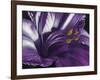 Amethyst-Barbara Keith-Framed Giclee Print