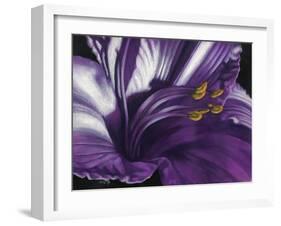 Amethyst-Barbara Keith-Framed Giclee Print