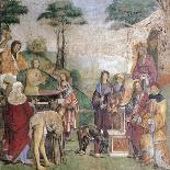 Martyrdom of Saint Cecilia-Amico Aspertini-Giclee Print
