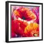 Amid Poppies I-Nick Vivian-Framed Giclee Print