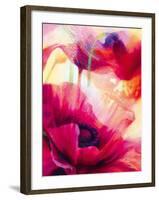 Amid Poppies III-Nick Vivian-Framed Giclee Print